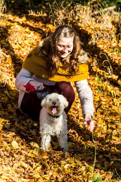 Flicka med en pudel i skogen — Stockfoto