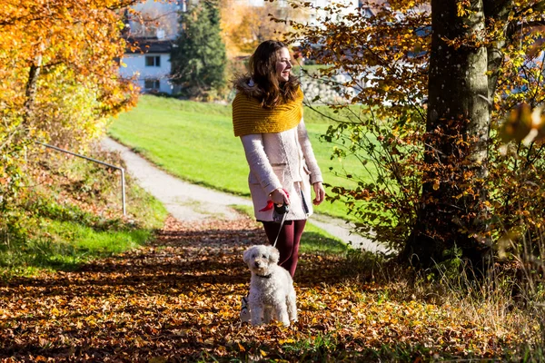 Ormandaki bir fino köpeği ile kız — Stok fotoğraf