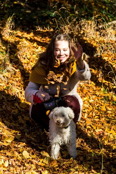 Menina com um poodle na floresta — Fotografia de Stock