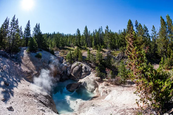 Parque Nacional de Yellowstone, Estados Unidos —  Fotos de Stock