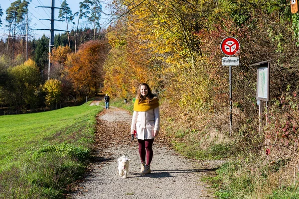 Menina com um poodle na floresta — Fotografia de Stock