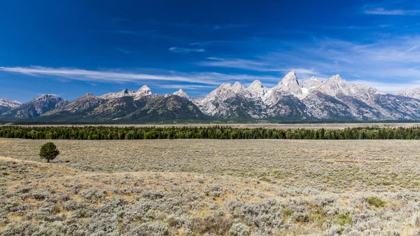 Parque Nacional Grand Teton, — Fotografia de Stock