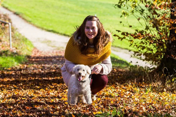 Flicka med en pudel i skogen — Stockfoto