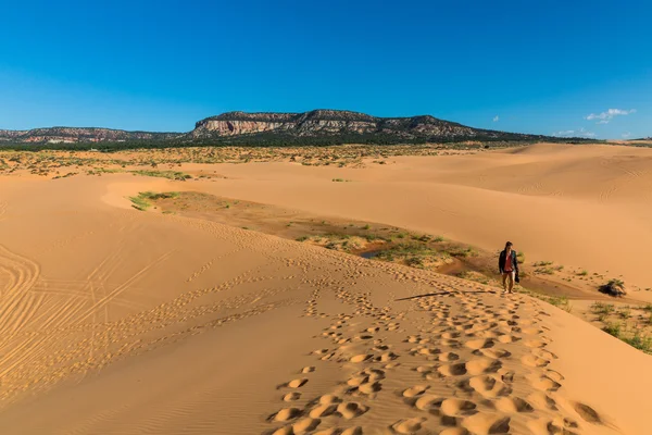 Výhled na korálové růžové písečné duny státní Park, Utah — Stock fotografie