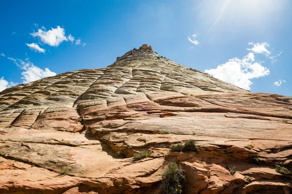 Parcul Național Zion, Utah — Fotografie, imagine de stoc