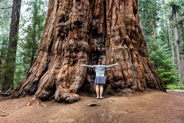 Menina no Parque Nacional Sequoia — Fotografia de Stock