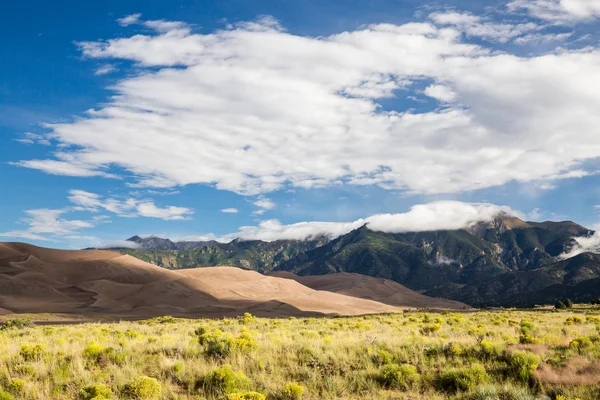 Parc national des grandes dunes de sable — Photo