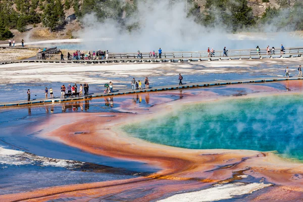 Yellowstone Nemzeti Park, Amerikai Egyesült Államok — Stock Fotó