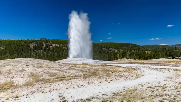 Yellowstone Nationalpark, Vereinigte Staaten — Stockfoto