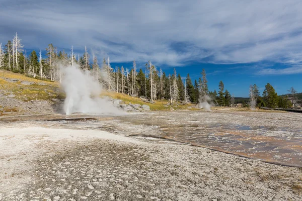 Yellowstone Nemzeti park — Stock Fotó