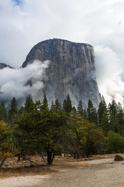 El capitan v yosemite národním parku, Kalifornie — Stock fotografie