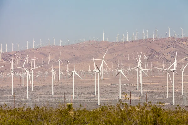 Mojave Desert, Californië — Stockfoto