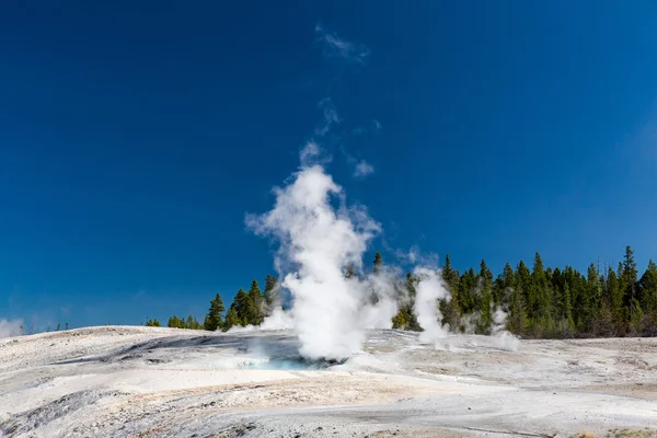 Yellowstone Nemzeti Park, Amerikai Egyesült Államok — Stock Fotó