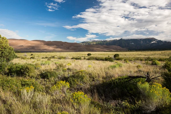 Parc national des grandes dunes de sable — Photo