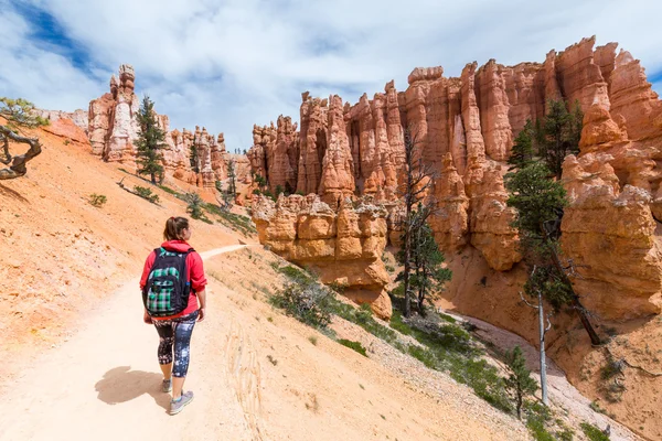 Parque Nacional Bryce Canyon, Utah — Foto de Stock