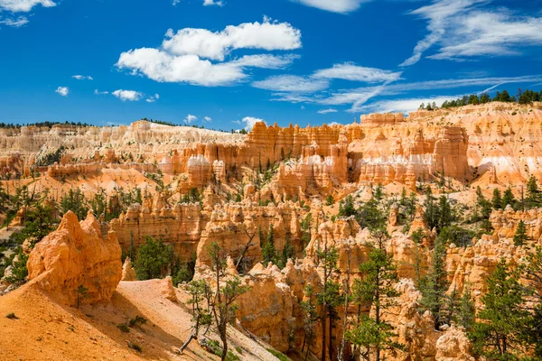 Bryce Canyon National Park, Utah — Stock Photo, Image