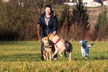 Kadın yıkamaları köpekler dışında