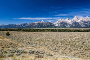 Grand Teton Milli Parkı ve yılan nehir