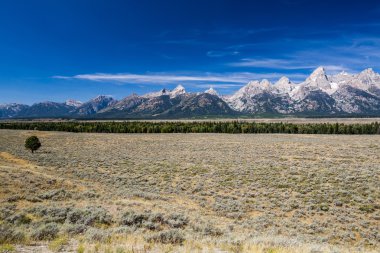 Grand Teton National Park and the Snake River clipart