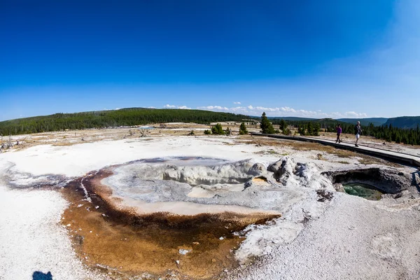 Yellowstone Nemzeti Park, Amerikai Egyesült Államok — Stock Fotó