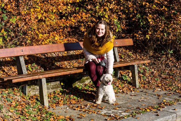 Menina com poodle — Fotografia de Stock