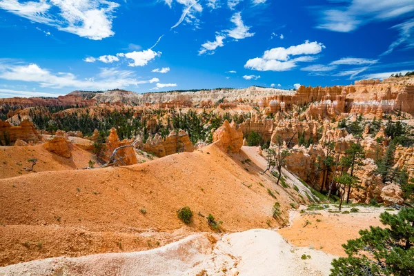 Widok na szlaki w Parku Narodowego Bryce Canyon — Zdjęcie stockowe