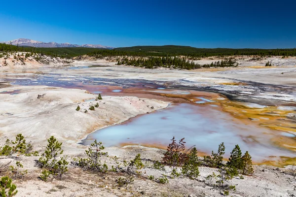 Park Narodowy Yellowstone, USA — Zdjęcie stockowe