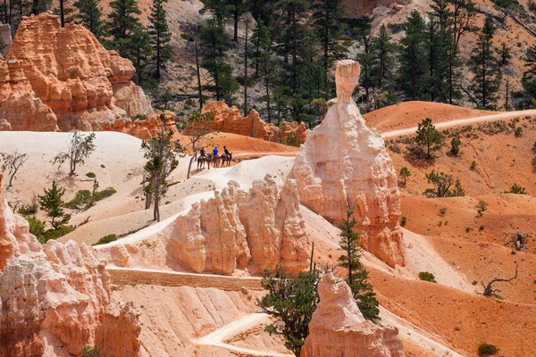 Άνθρωποι της ιππασίας στα άλογα σε Bryce Canyon — Φωτογραφία Αρχείου