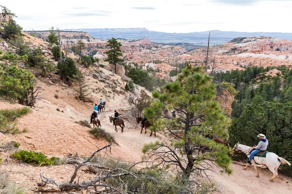 Personnes à cheval dans le Canyon de Bryce — Photo