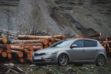 A car against the background of felled trees, the village of Artybash, Siberia, Gorny Altai, Lake Teletskoye