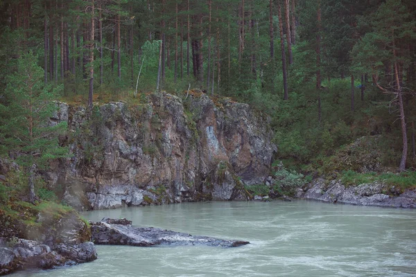 乌斯季马Gorny Altai自然保护区Katun河沿岸的岩石海岸 — 图库照片