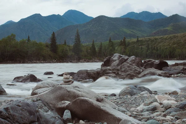 Ilgumen nehrinin kıyısındaki Katun nehri, Gorny Altai, Kur-Kechu