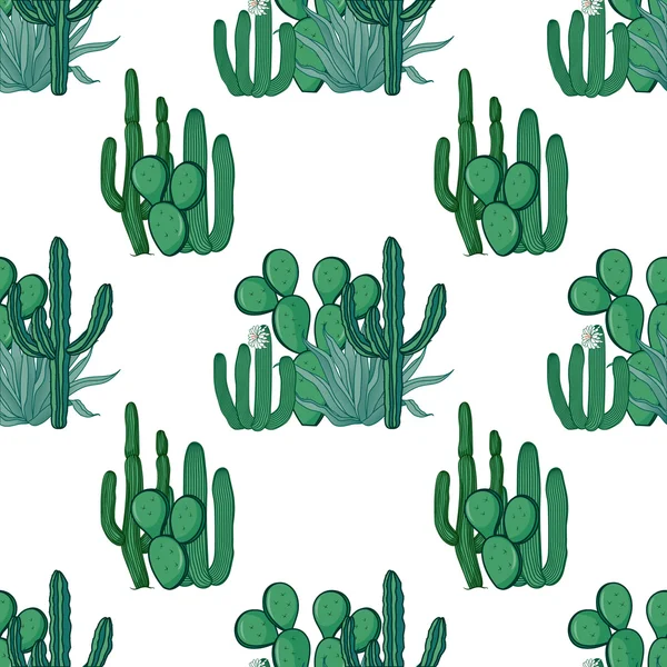 Meksika kaktüs Dikişsiz desen beyaz arka plan üzerinde. Vektör Hüseyin