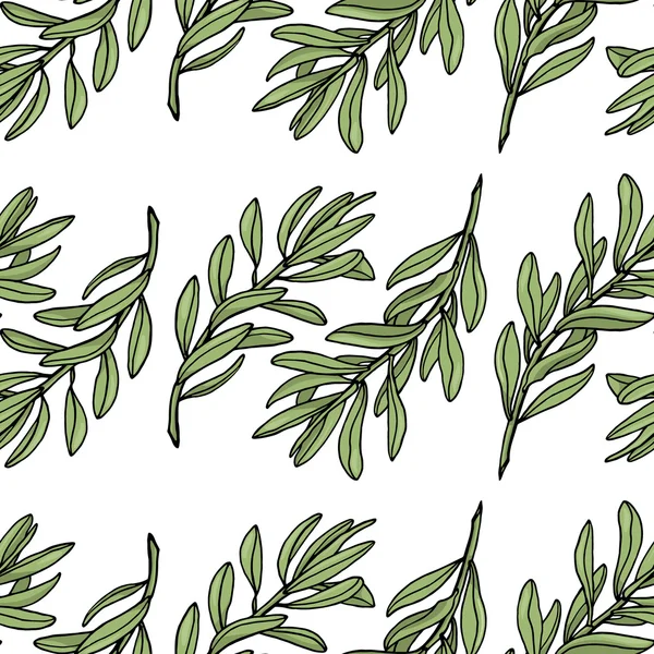 Olive branch seamless mönster. Vit bakgrund. Vektor illustration — Stock vektor