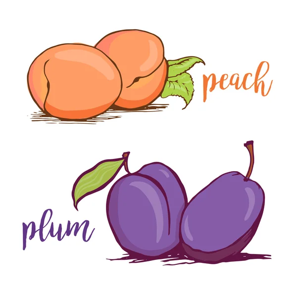 Par i färska mogna persikor och plommon — Stock vektor