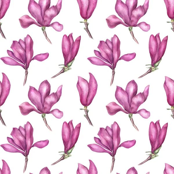 Λεπτή ροζ magnolia χωρίς ραφή πρότυπο, Ακουαρέλα εικονογράφηση — Φωτογραφία Αρχείου