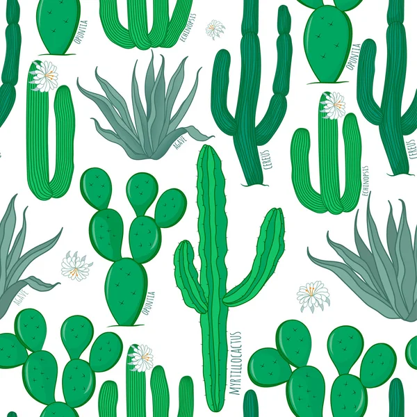Patrón de cactus sin costura — Vector de stock
