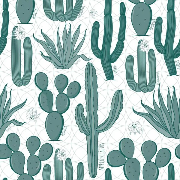 Seamless cactus pattern — Stock Vector