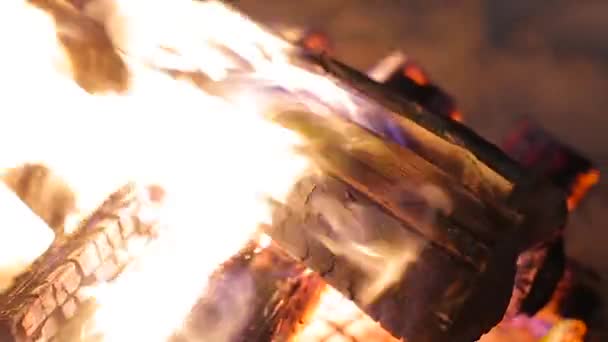 Brandende vuur en het hout closeup — Stockvideo