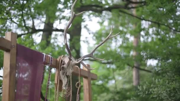 Sunak ile bir yaz ormandaki bir korkuluk — Stok video