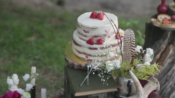 Mooie witte cake staande op een boomstronk in het bos — Stockvideo