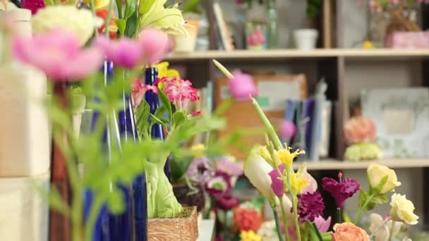 Schöne Blumensträuße aus farbenfrohen Frühlingsblumen aus nächster Nähe — Stockvideo
