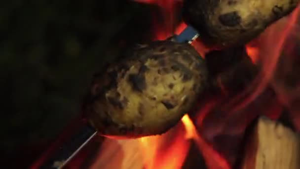 Aardappelen gebakken op een barbecuespies boven een vuur — Stockvideo