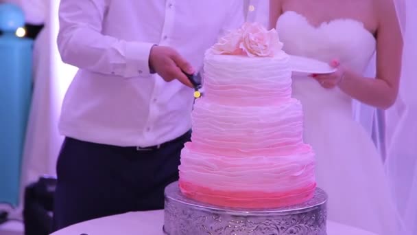 Novia y el novio cortar el pastel de bodas — Vídeos de Stock