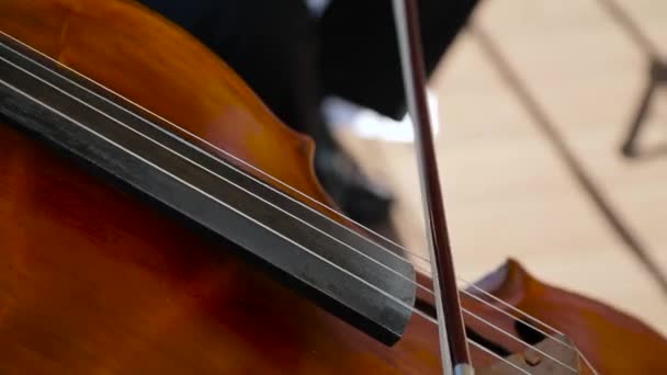 Spelen van de cello close-up — Stockvideo