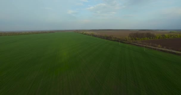 Primavera verde campo de la agricultura vista aérea — Vídeos de Stock