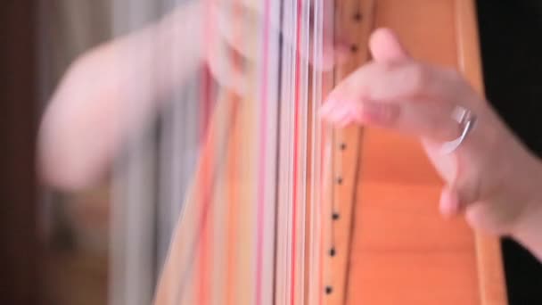 Girl playing the cello close up — Stock Video