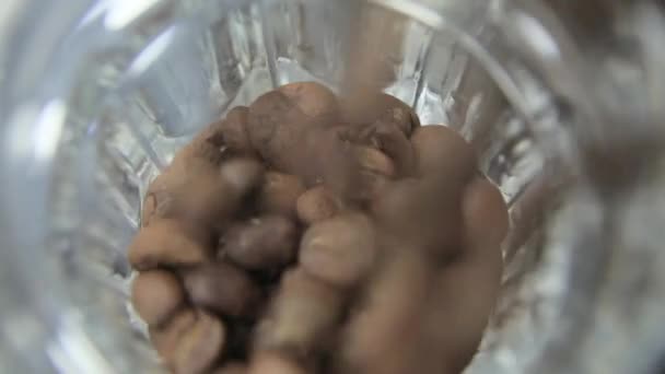 Roasted coffee beans are poured into a vessel — Stock Video