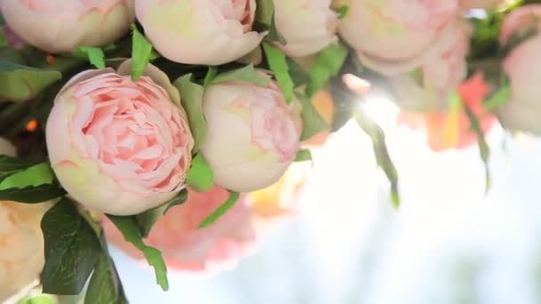 Bouquet of pale pink flowers — Stock Video