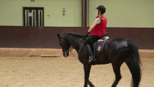 Flicka jockey Rider en svart häst — Stockvideo